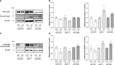Exploring the multifaceted antitumor activity of axitinib in lung carcinoids